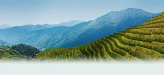 金年会官方网站-关于w-?d#